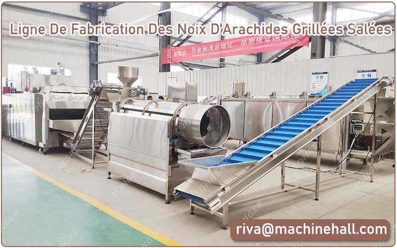 Quelles Sont Les Machines De La Ligne De Fabrication D'Arachides Grillées Et Aromatisées