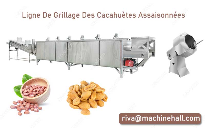 Composants De La Ligne De Grillage Des Cacahuètes Assaisonnées