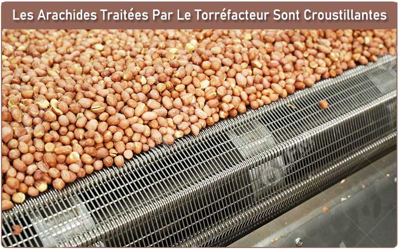 Les Arachides Traitées Par Le Torréfacteur Sont Croustillantes