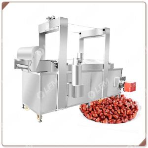 Machine De Fabrication Des Arachides Frites Avancée