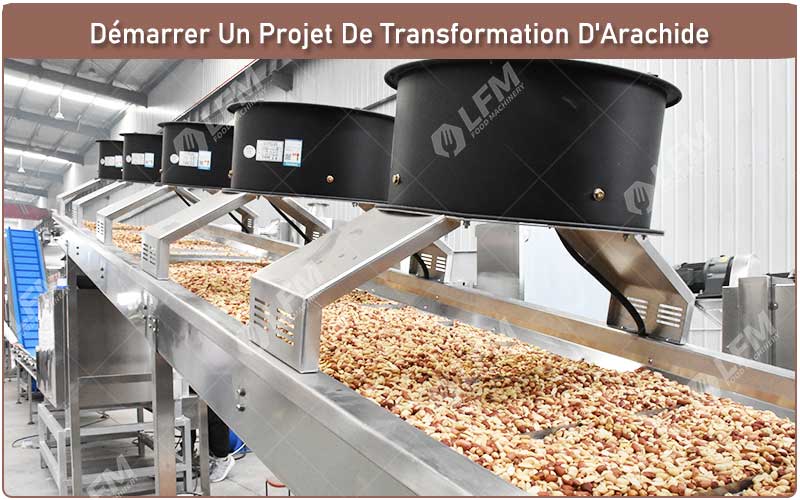 Démarrer Un Projet De Transformation D'Arachide En Afrique