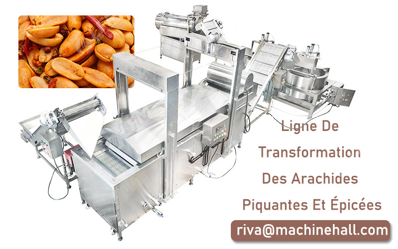 Flux Technologique De Transformation Des Arachides Piquantes Et Épicées