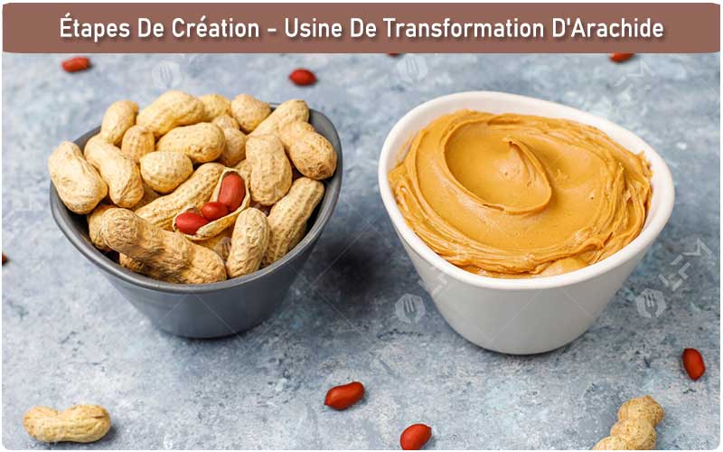 Étapes De Création - Usine De Transformation D'Arachide